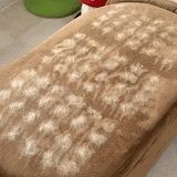 The Most Satisfying Hair Removal Tool for You and Your Pet